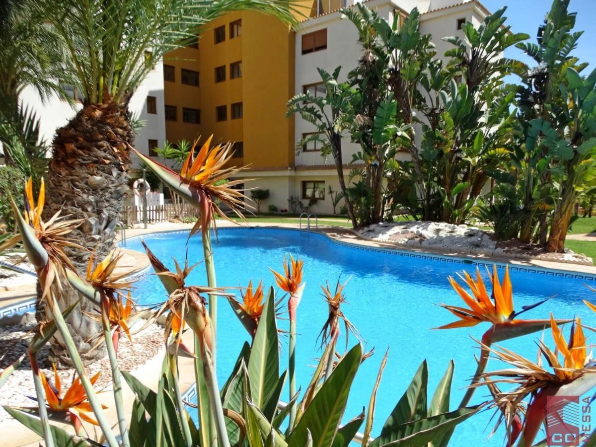 Apartamento Eleonor, La Entrada, Punta Prima, Torrevieja Exteriör bild